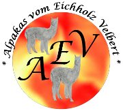 Alpakas vom Eichholz in Velbert